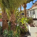 Calima House Chayofa