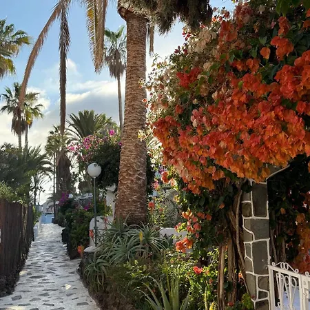 Apartamento Calima House *