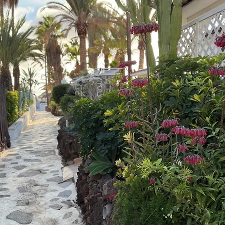 Lejlighed Calima House Chayofa