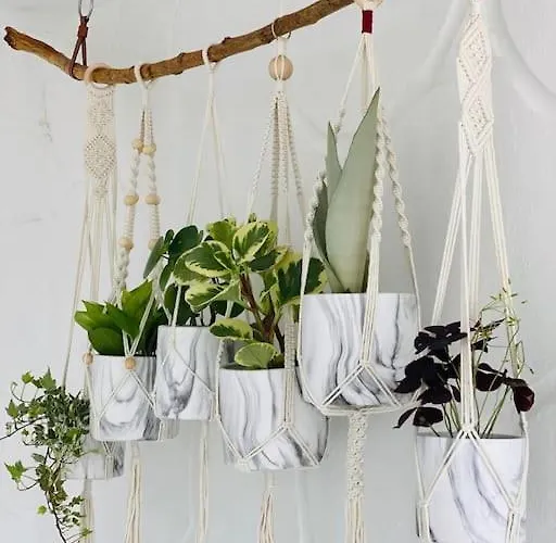 Apartamento Calima House *