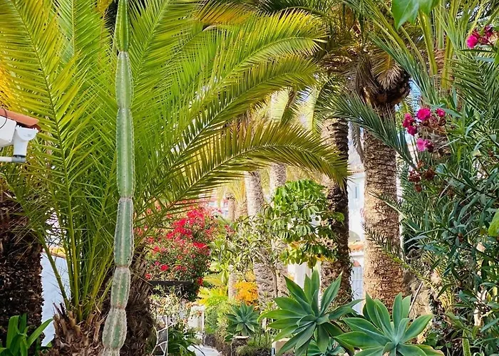 Calima House Apartamento Chayofa