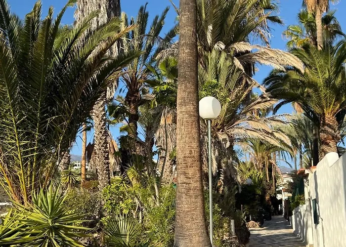 Calima House Apartamento *