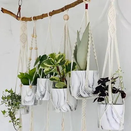 Apartamento Calima House *