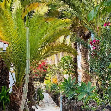 Calima House Apartamento Chayofa