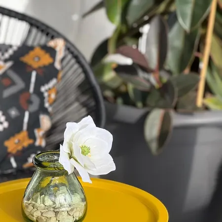 Apartamento Calima House