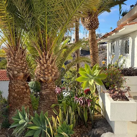 Calima House Chayofa